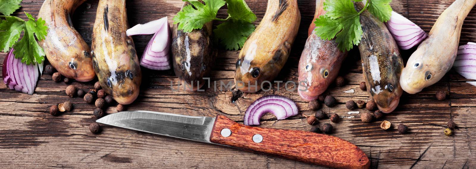 Fresh sea fish in on cutting board on the kitchen table