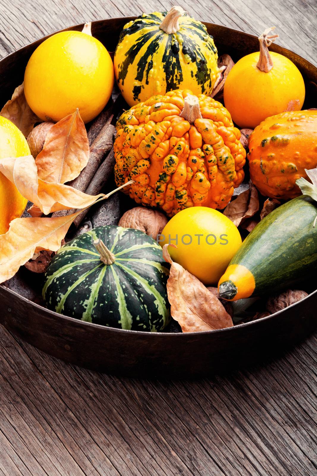 Autumn seasonal background with pumpkinsin tray.Autumn nature concept