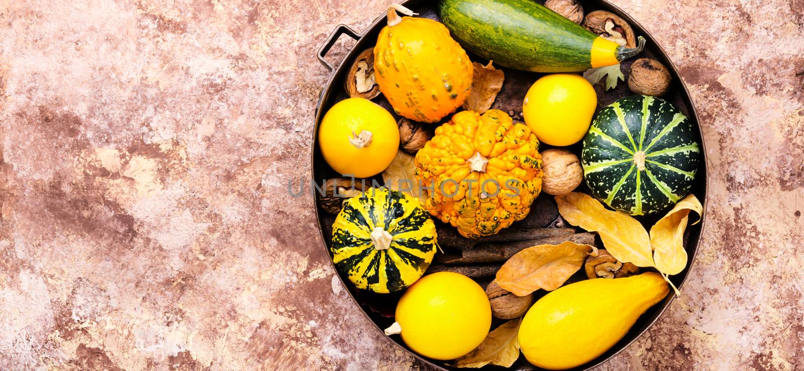 Autumn seasonal background with pumpkinsin tray.Autumn nature concept