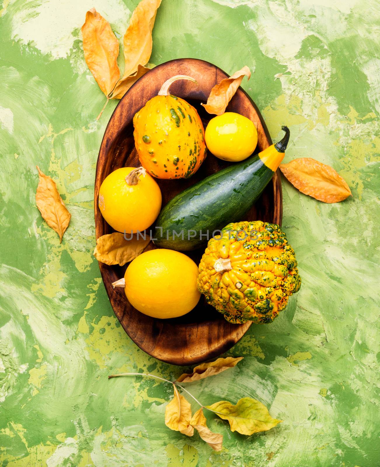 Beautiful autumn seasonal background with pumpkins in tray.Autumn nature concept
