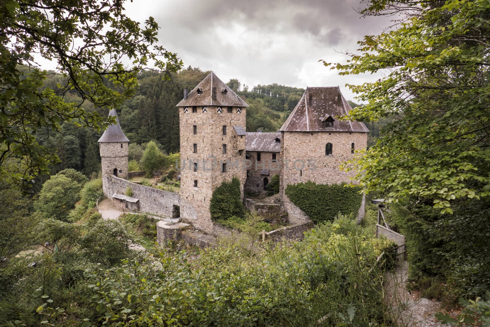 Castle Reinhardstein near Robertville  by compuinfoto
