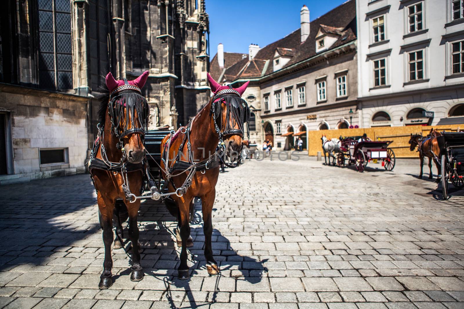 horses and carriage on historic europe centre square