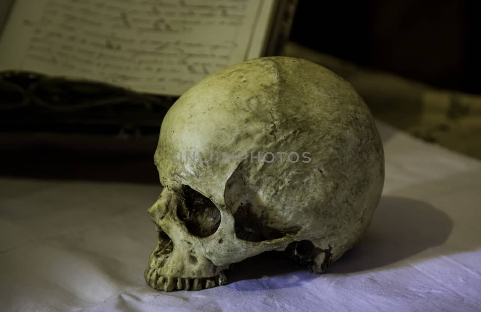 Ancient human skull, detail of human skull, bones