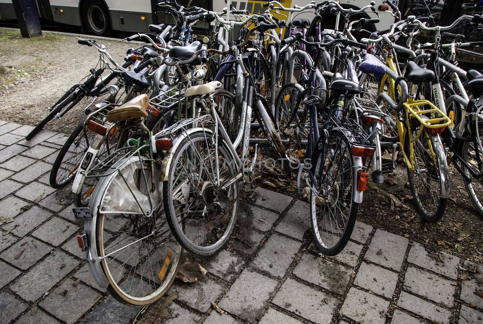 Bicycles parked in the Netherlands by esebene