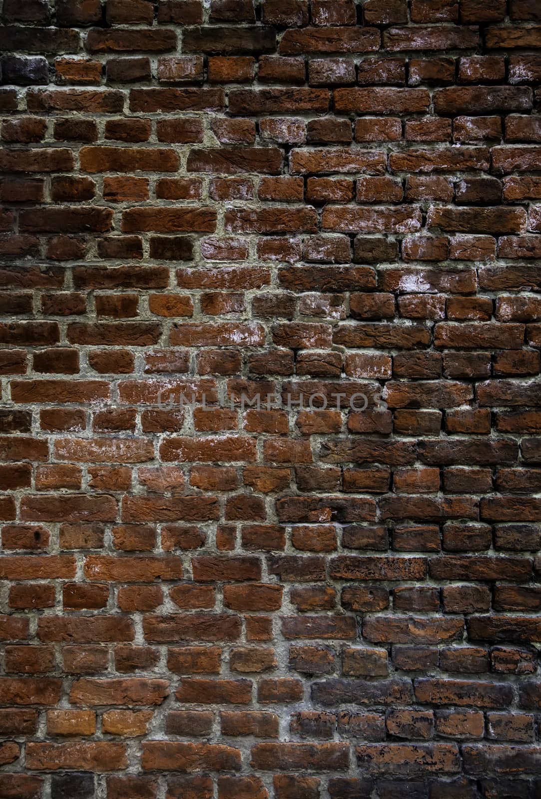 Old mud brick wall, detail of history and ancient