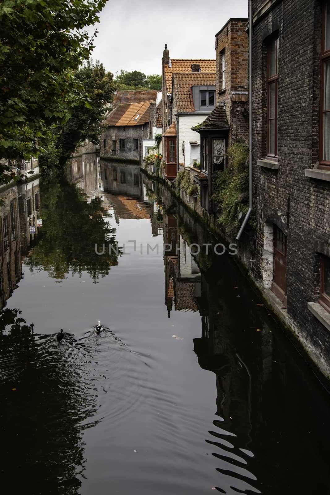 Medieval channels of Bruges, detail of tourism in a city of Belgium