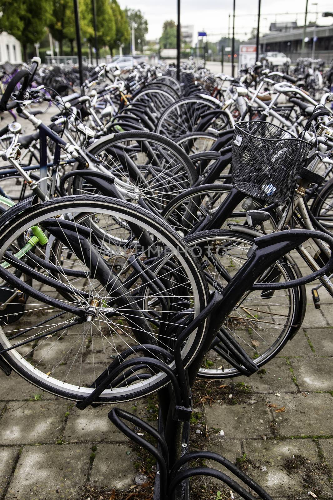 AMSTERDAM,NETHERLANDS - SEPTEMBER 06, 2018: Sunset in Amsterdam.Bicycle parking and traditional old dutch buildings.Flower market on Single canal, Netherlands by esebene