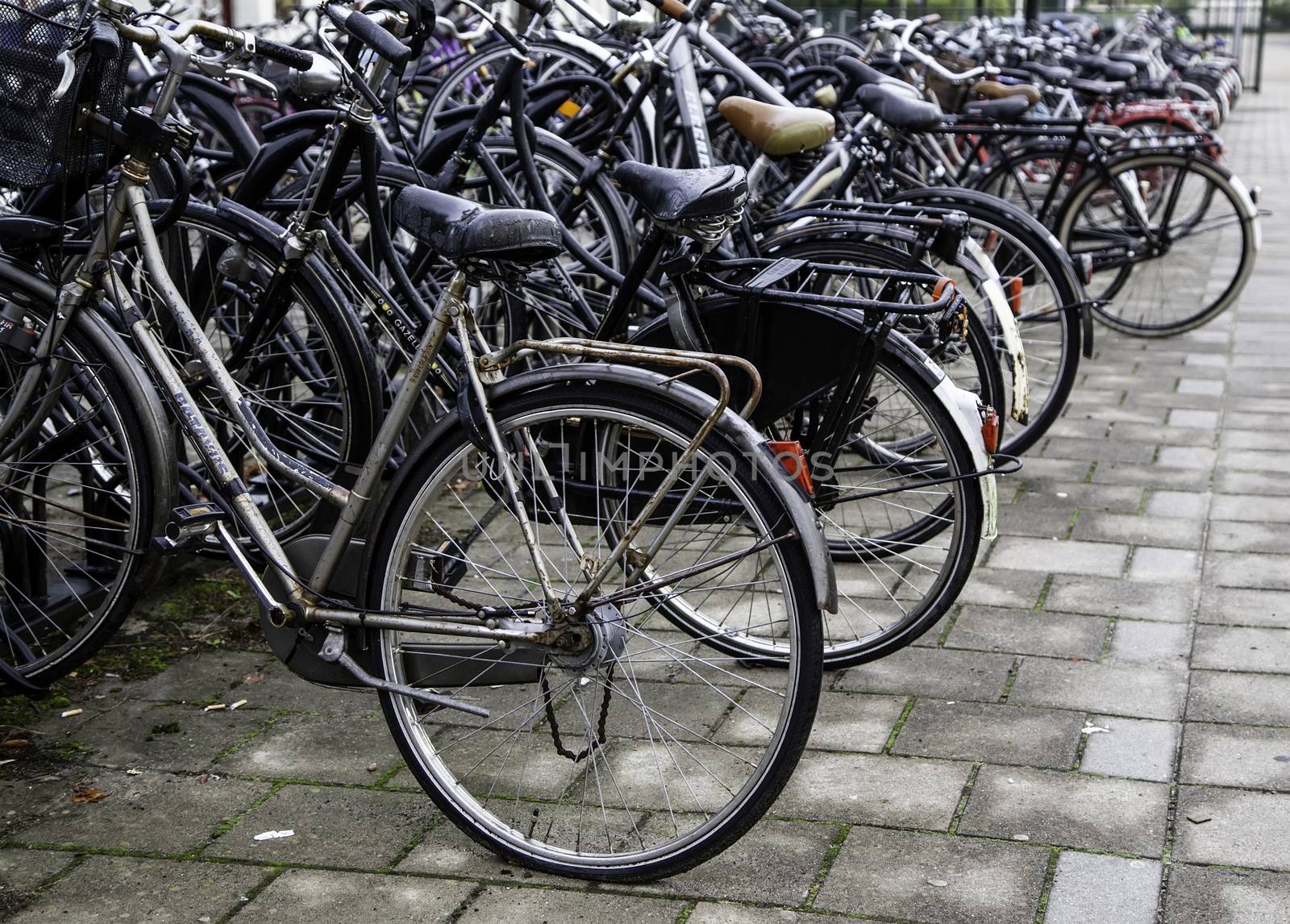 AMSTERDAM,NETHERLANDS - SEPTEMBER 06, 2018: Sunset in Amsterdam.Bicycle parking and traditional old dutch buildings.Flower market on Single canal, Netherlands by esebene