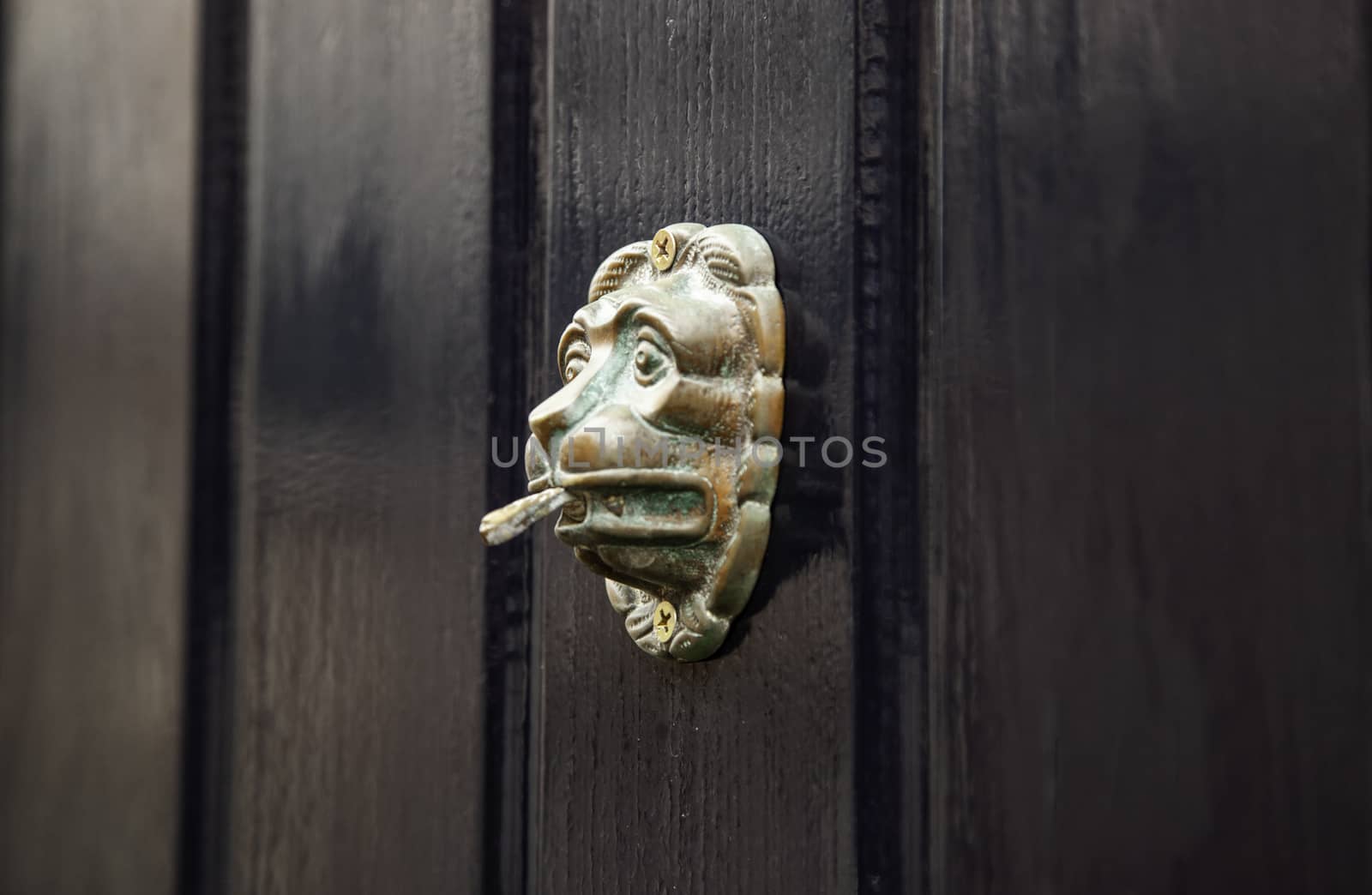 Old metal door knocker, decoration detail