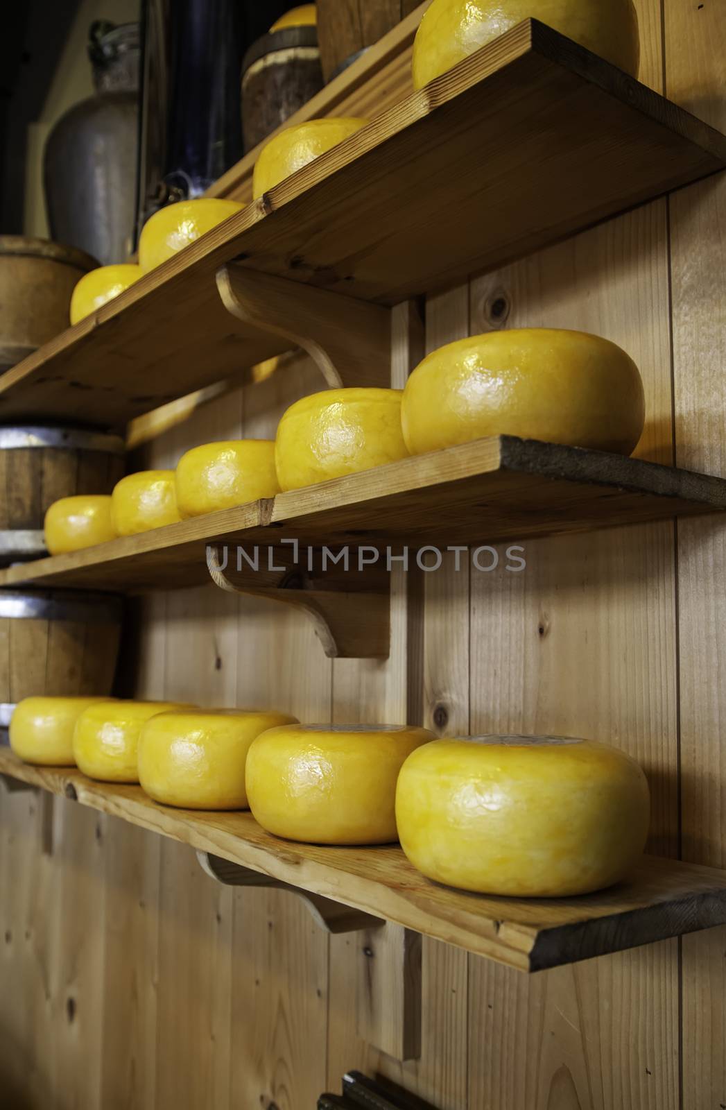 Artisan edam cheese, detail of Dutch cheese making