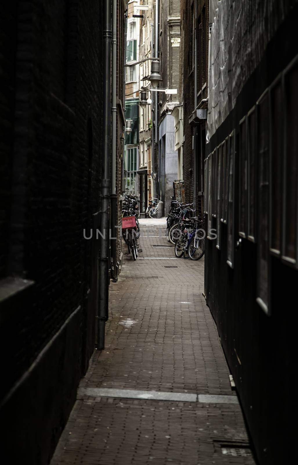 Amsterdam alley, Dutch city street, tourism in europe