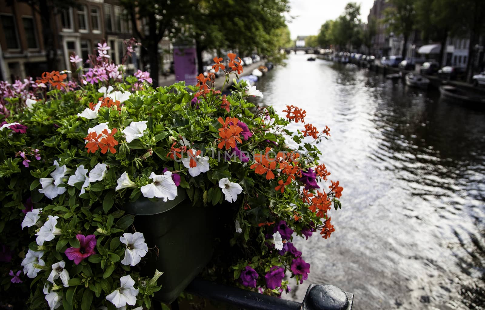 Houses in Amsterdam, detail of Dutch city, tourism