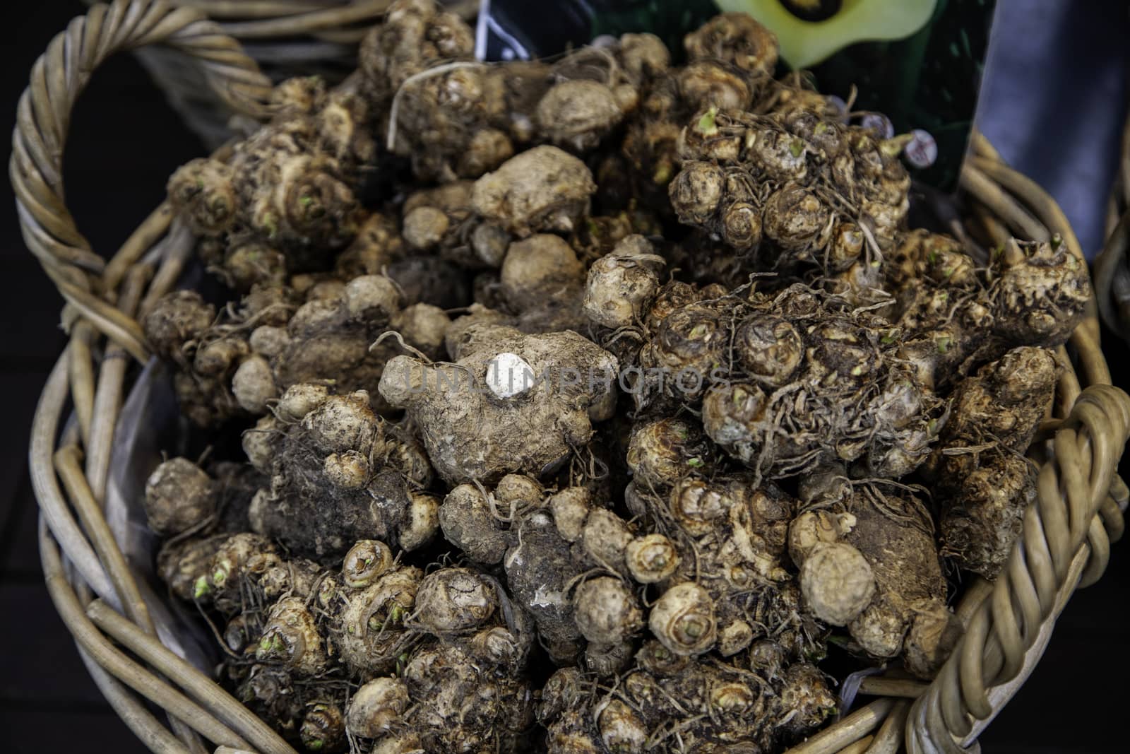 Bulbs in a market, detail of plants and seeds