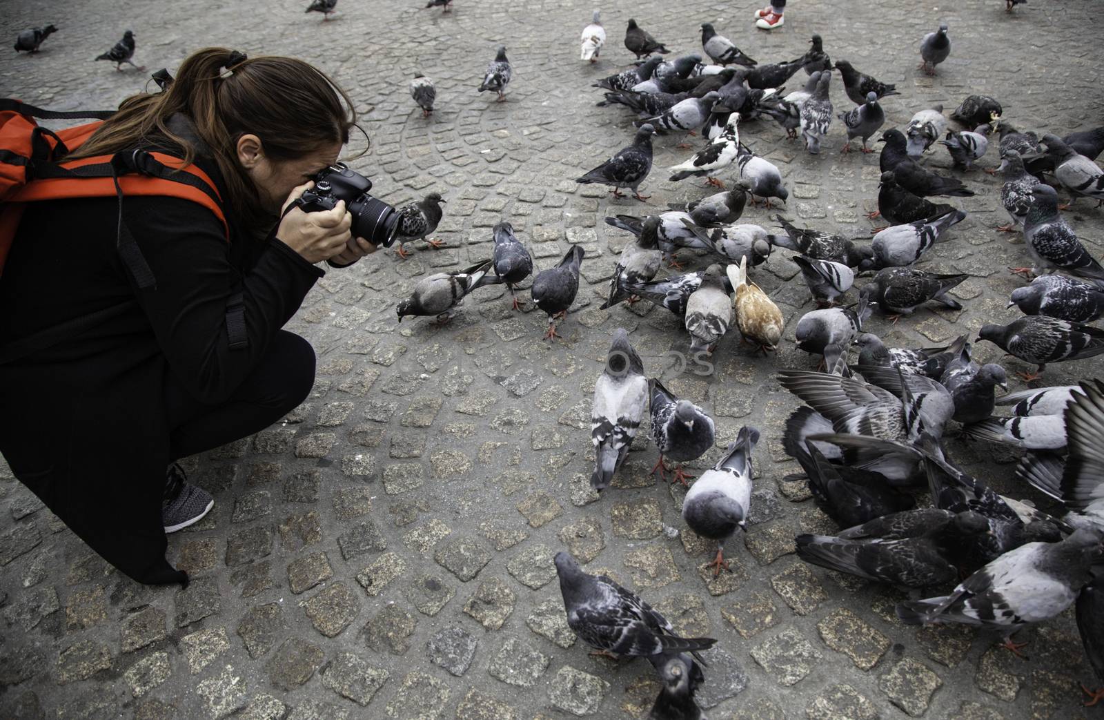 Feeding the pigeons, detail of a woman photographing the birds