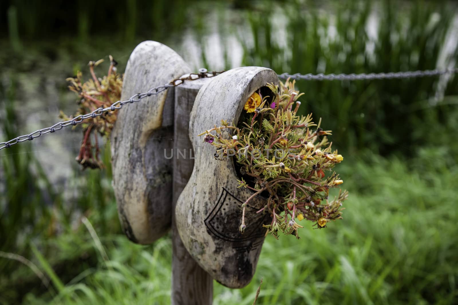Traditional Dutch wooden clogs, traditional shoe detail