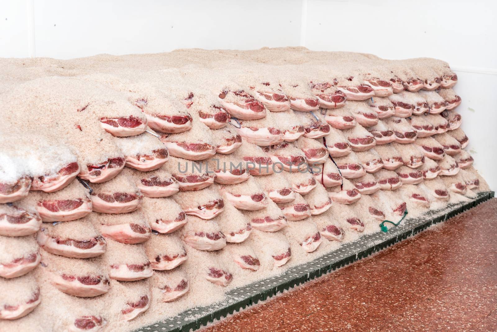 Salting process of iberian ham. Meat industry concept. by HERRAEZ