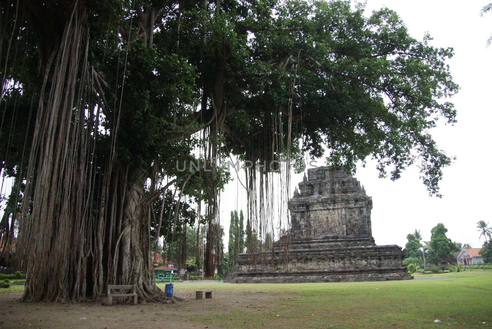 Mendut Temple, another ancient monument found in Yogyakarta, Indonesia by craigansibin