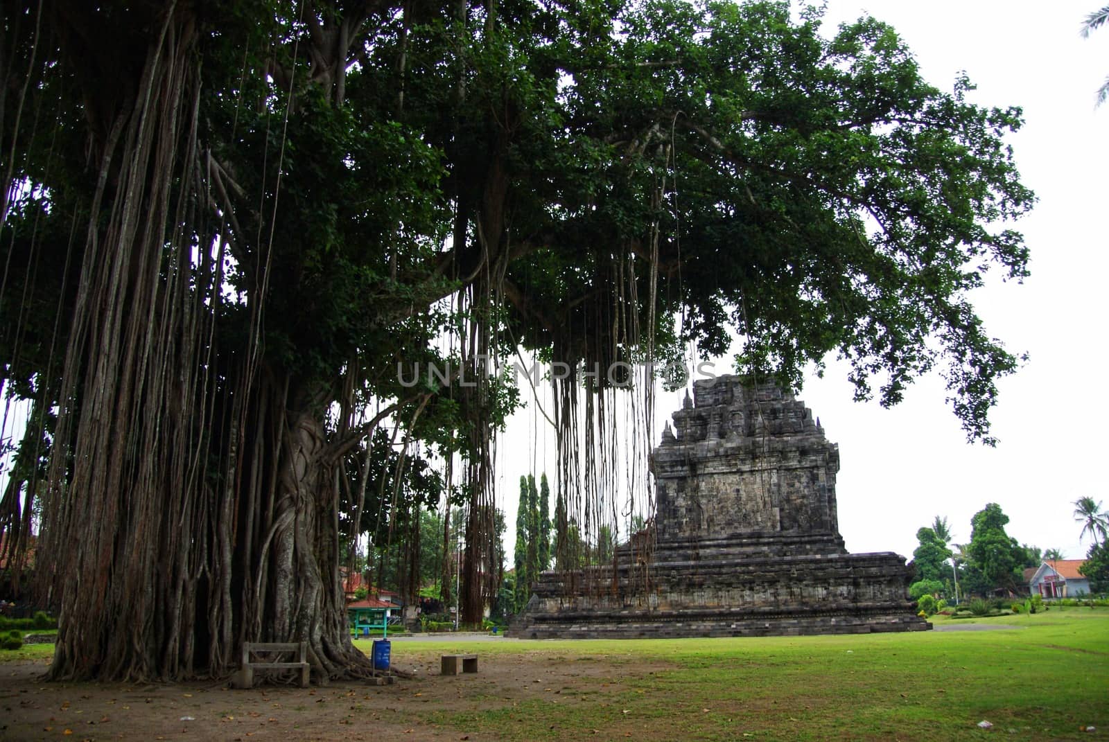 Mendut Temple, another ancient monument found in Yogyakarta, Indonesia