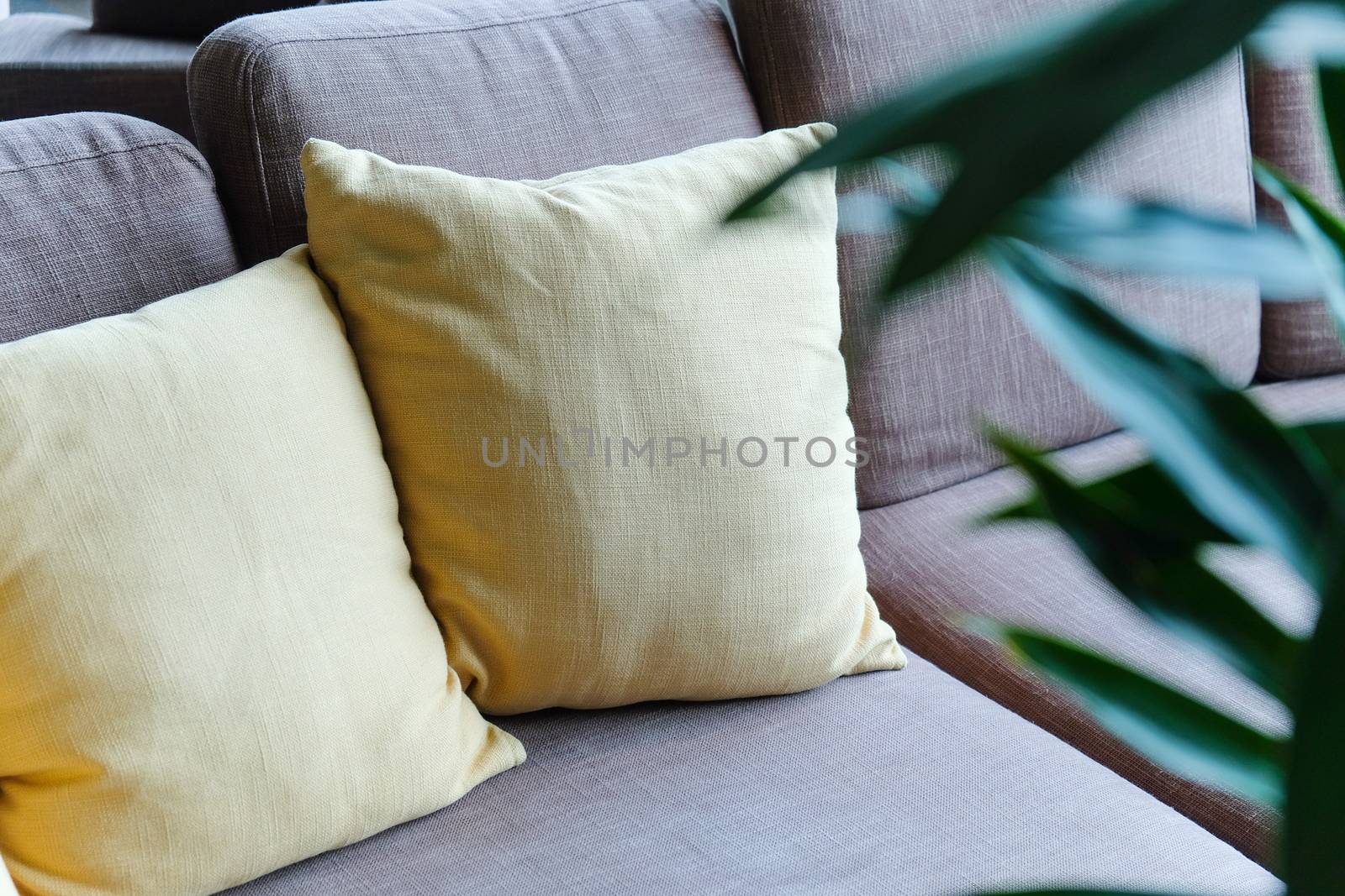 Detail of sofa in living room