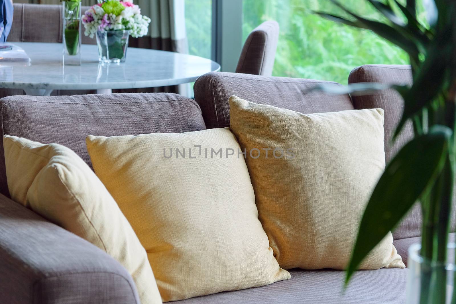 Detail of sofa in living room