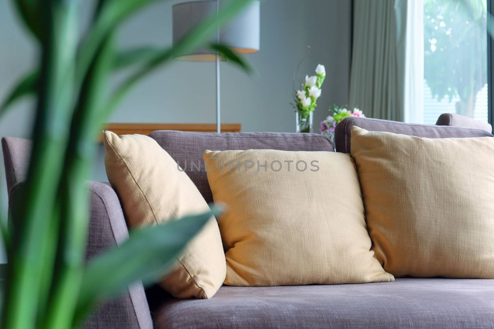 Detail of sofa in living room interior