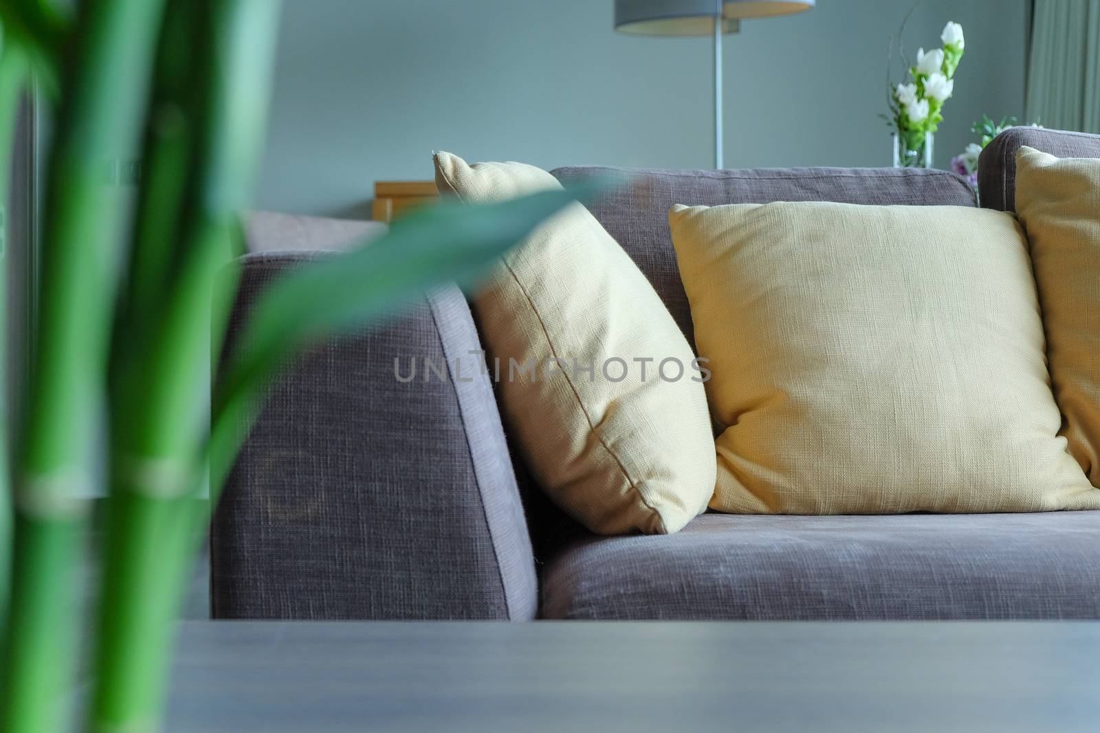 Detail of sofa in living room interior