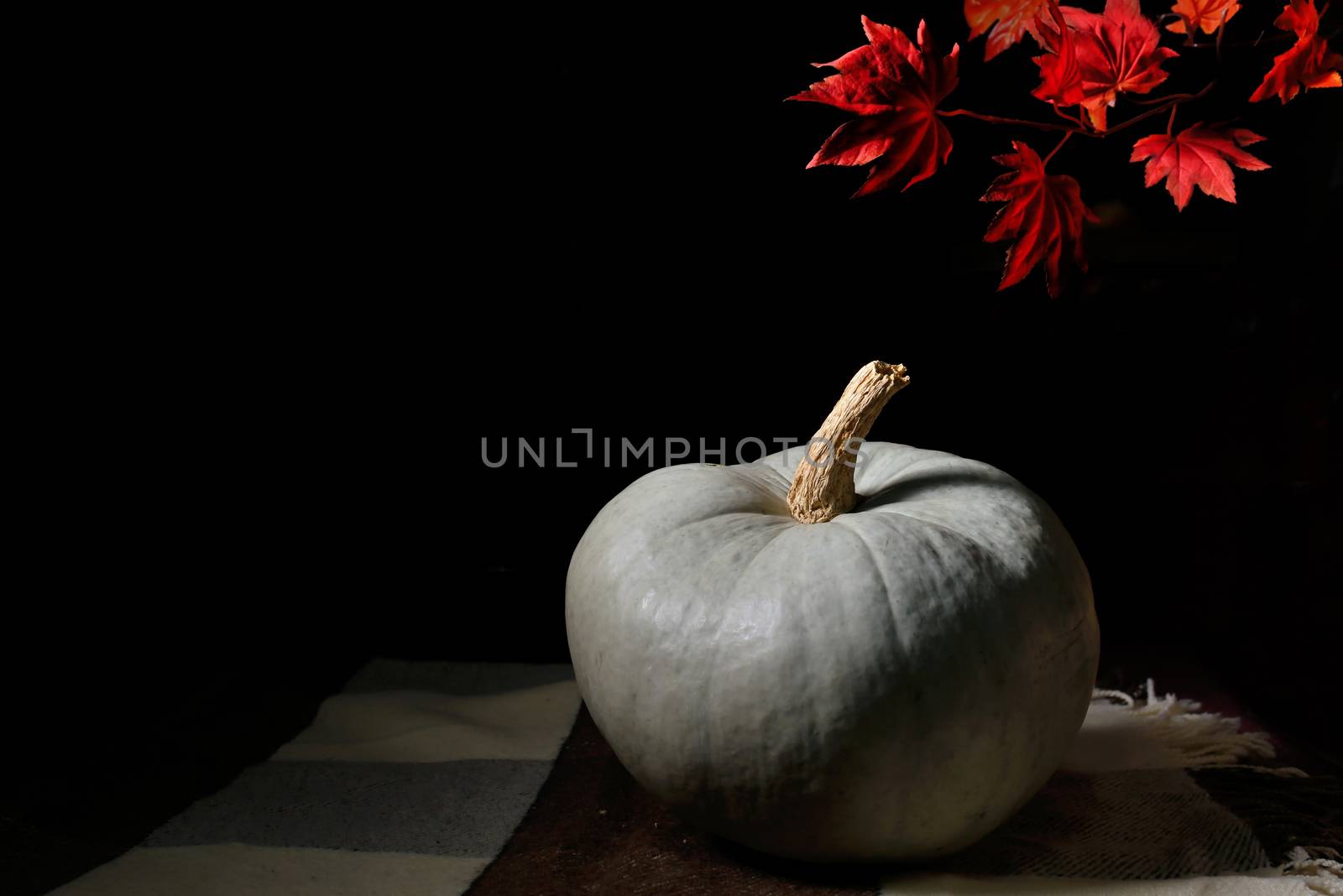 raw pumpkin on rustic carpet  by mady70