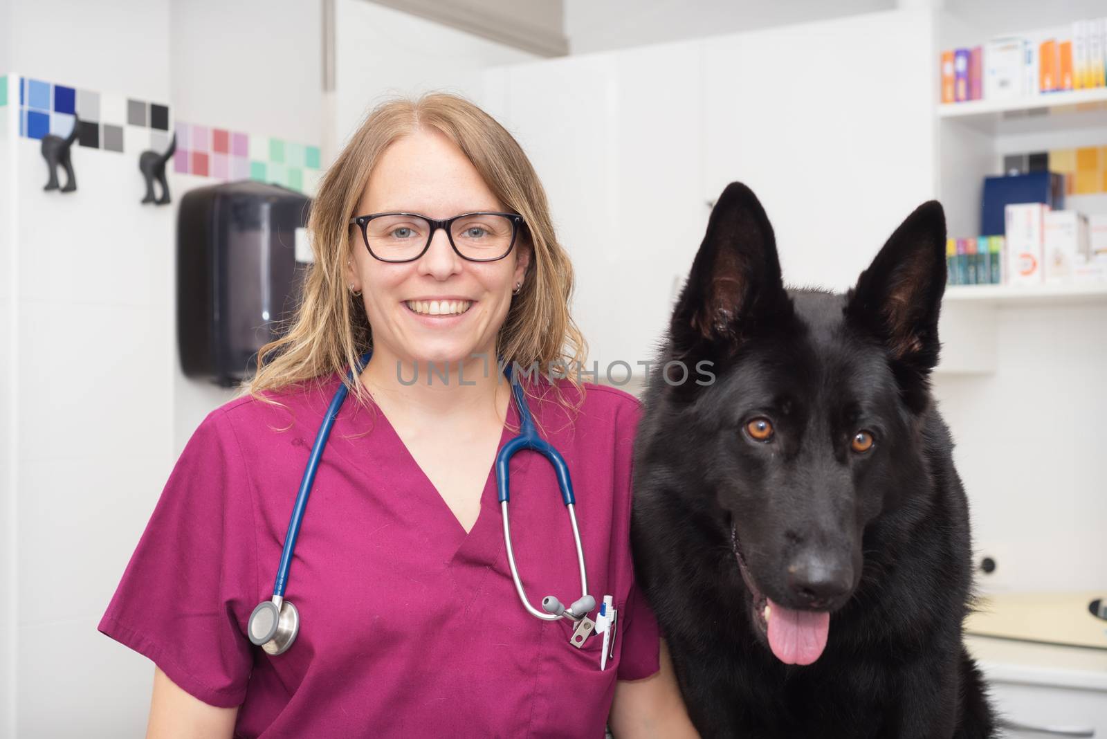 Female veterinary doctor using stethoscope for cute dog examination by HERRAEZ