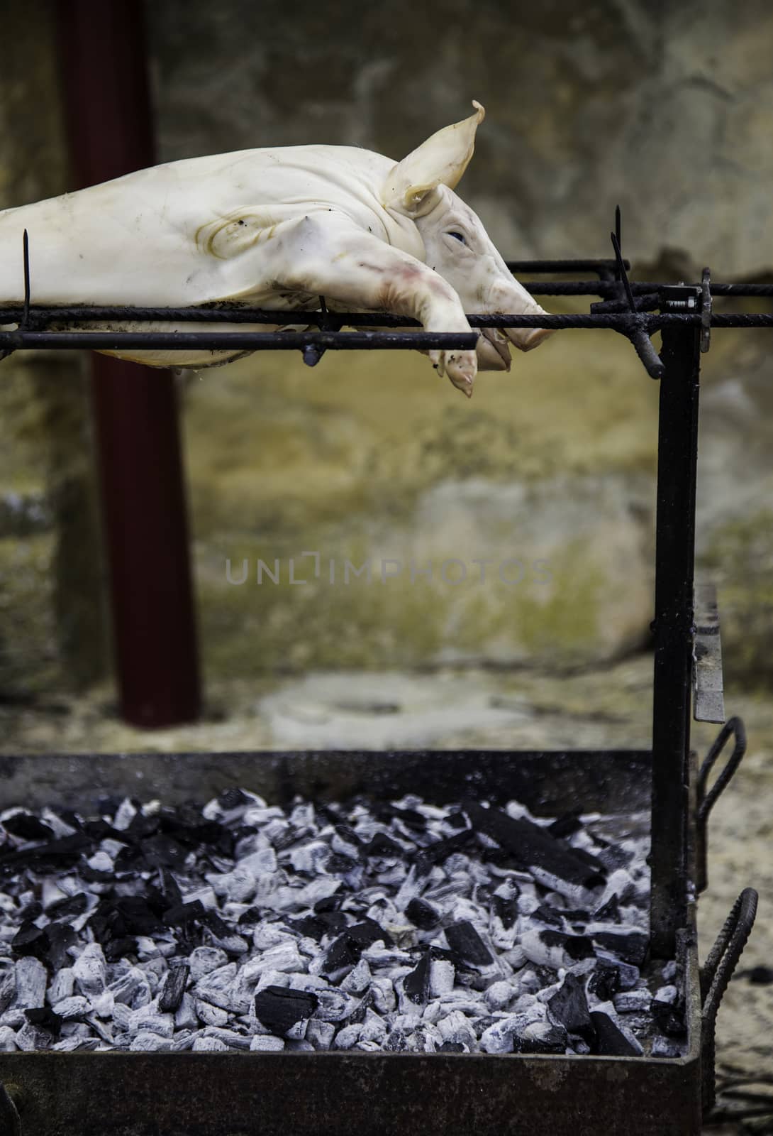 Grilled suckling pig, detail of cooked meat, vegan