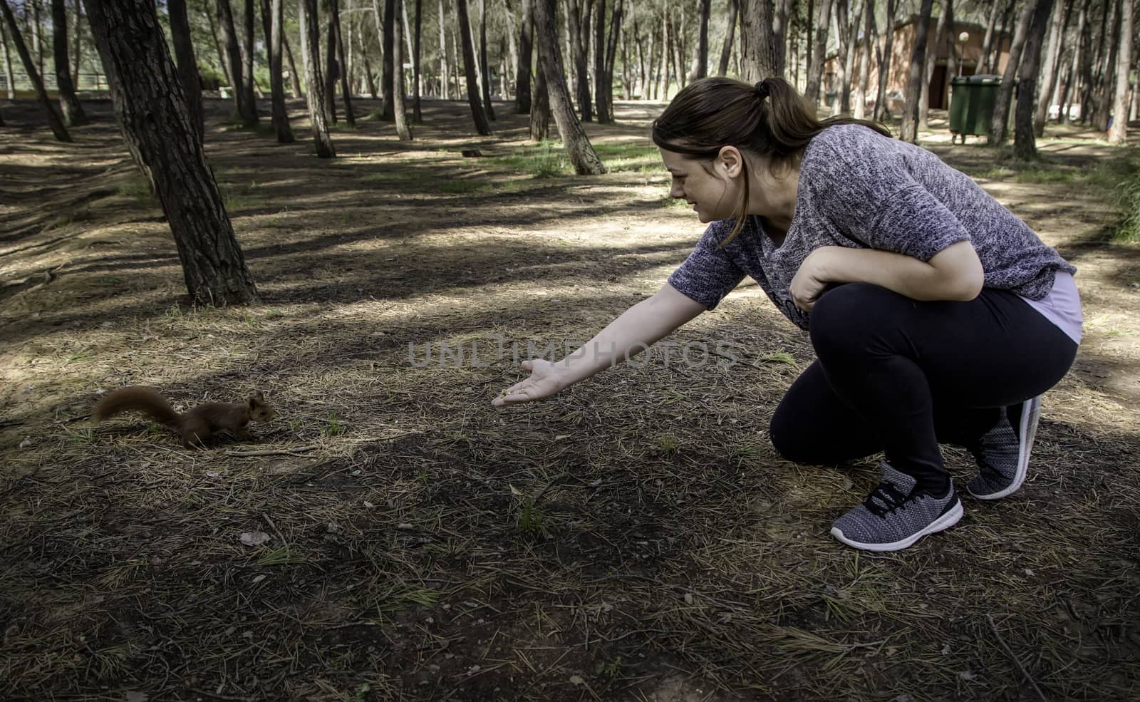 Woman feeding a squirrel, detail of animal feed, pet