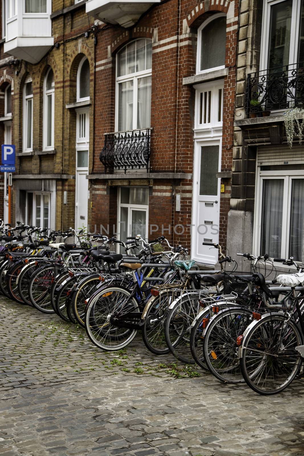 Bicycles parked in the Netherlands by esebene