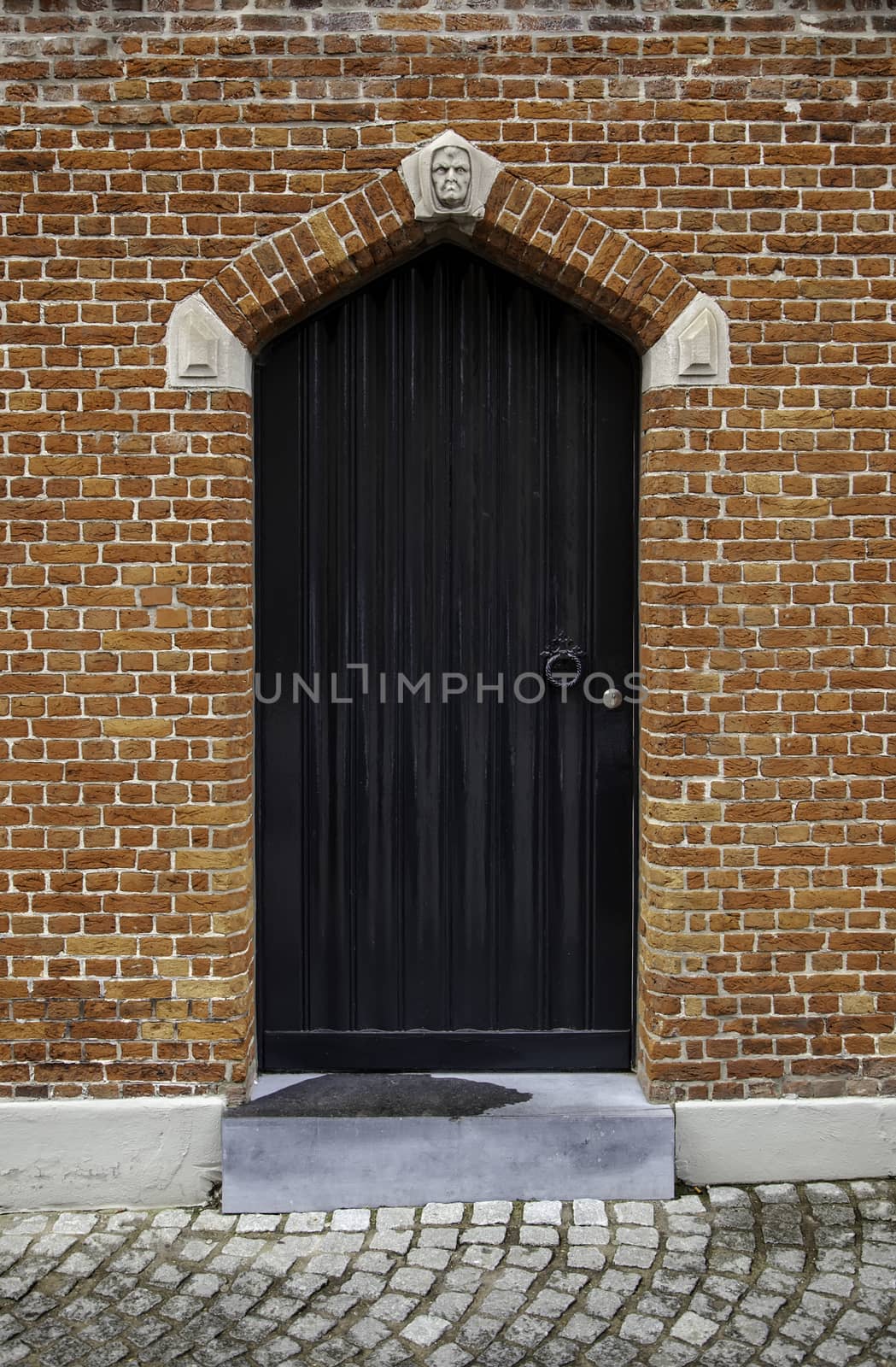 Old door in Bruges, door of old medieval house