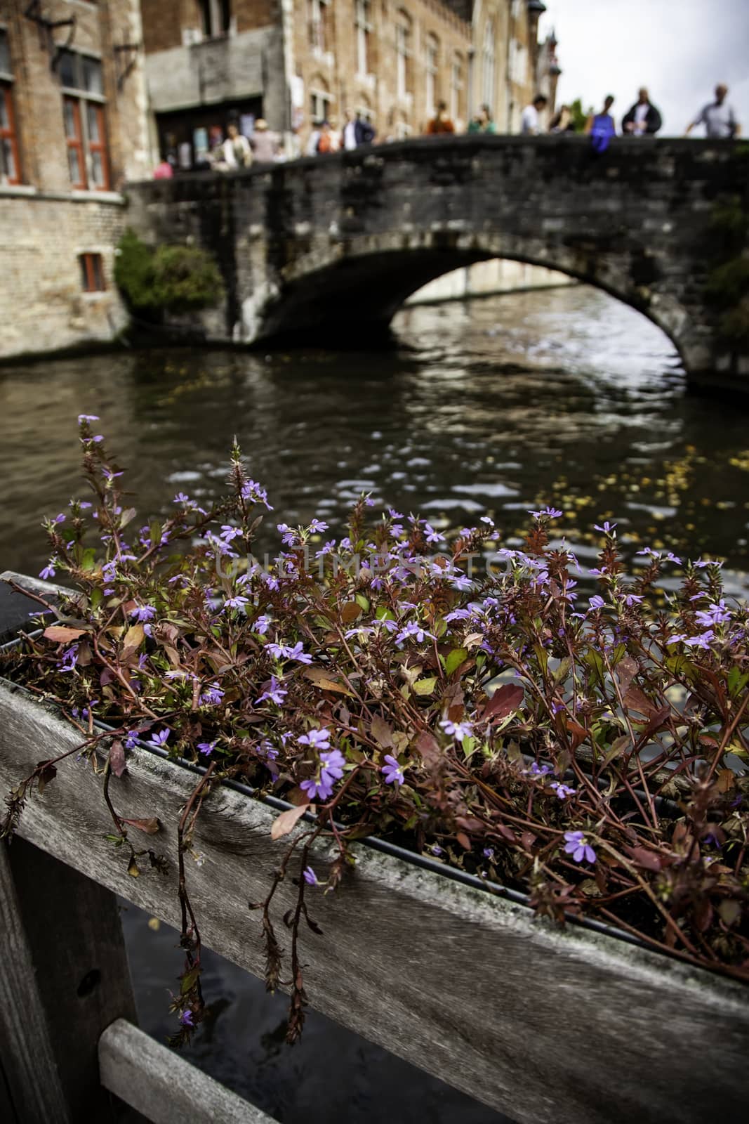 Medieval channels of Bruges, detail of tourism in a city of Belgium