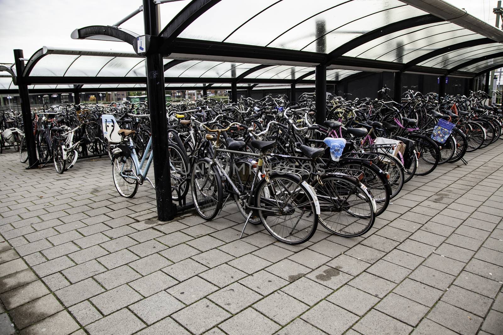 AMSTERDAM,NETHERLANDS - SEPTEMBER 06, 2018: Sunset in Amsterdam.Bicycle parking and traditional old dutch buildings.Flower market on Single canal, Netherlands by esebene