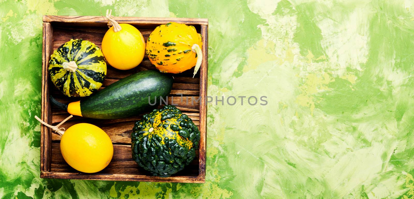 Beautiful autumn seasonal background with pumpkins in box.Autumn nature concept