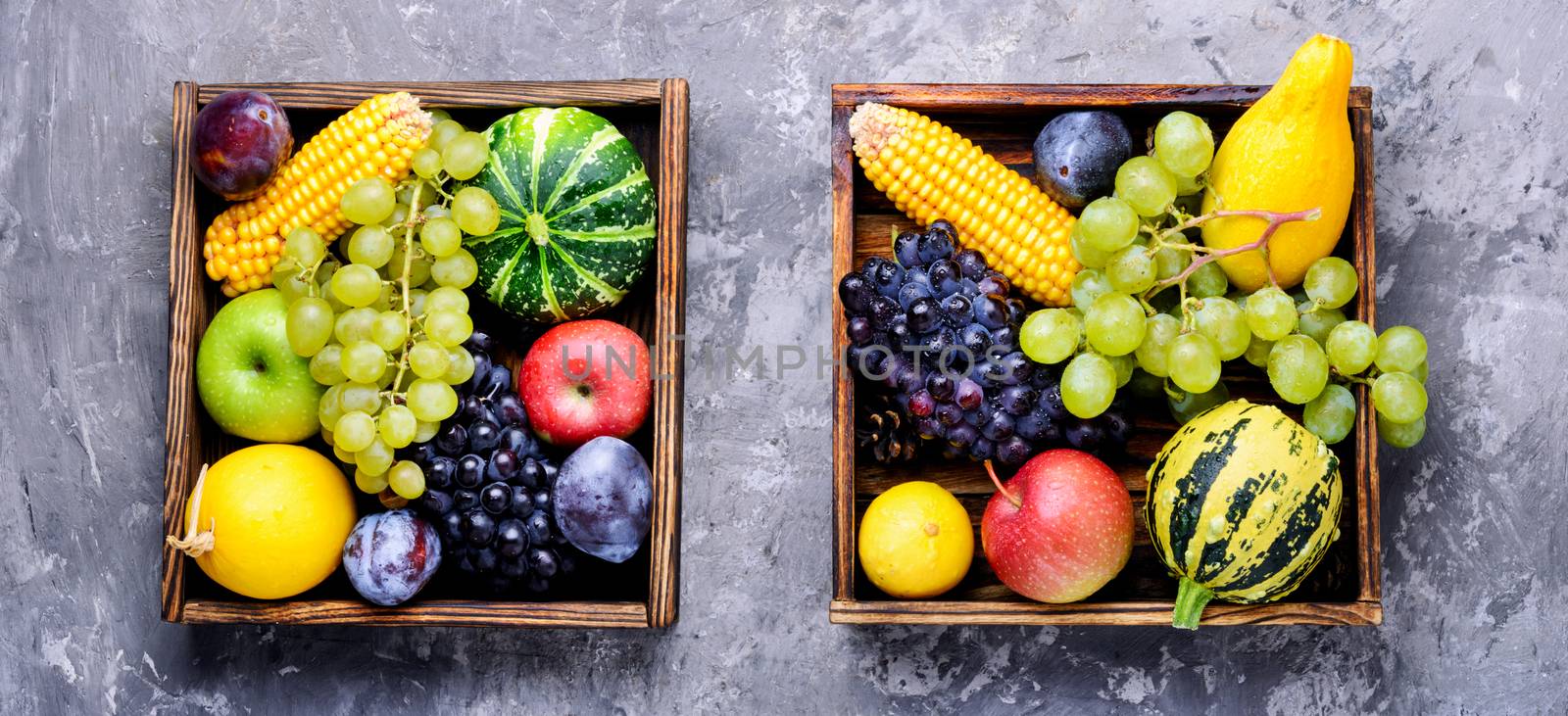 Autumn background with pumpkin, apples,plum and grapes.Autumnal concept