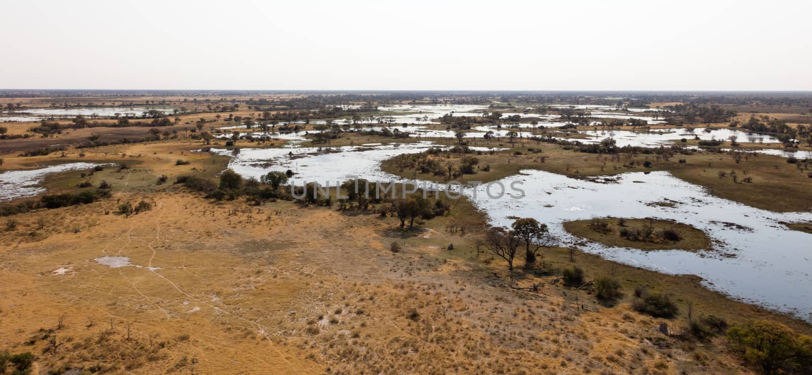 Okavango Delta aerial view, Botswana's stunning landscape