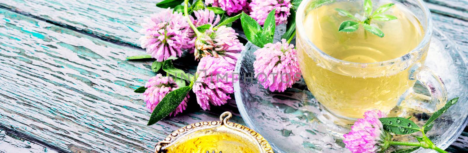 Healthy tea with clover by LMykola