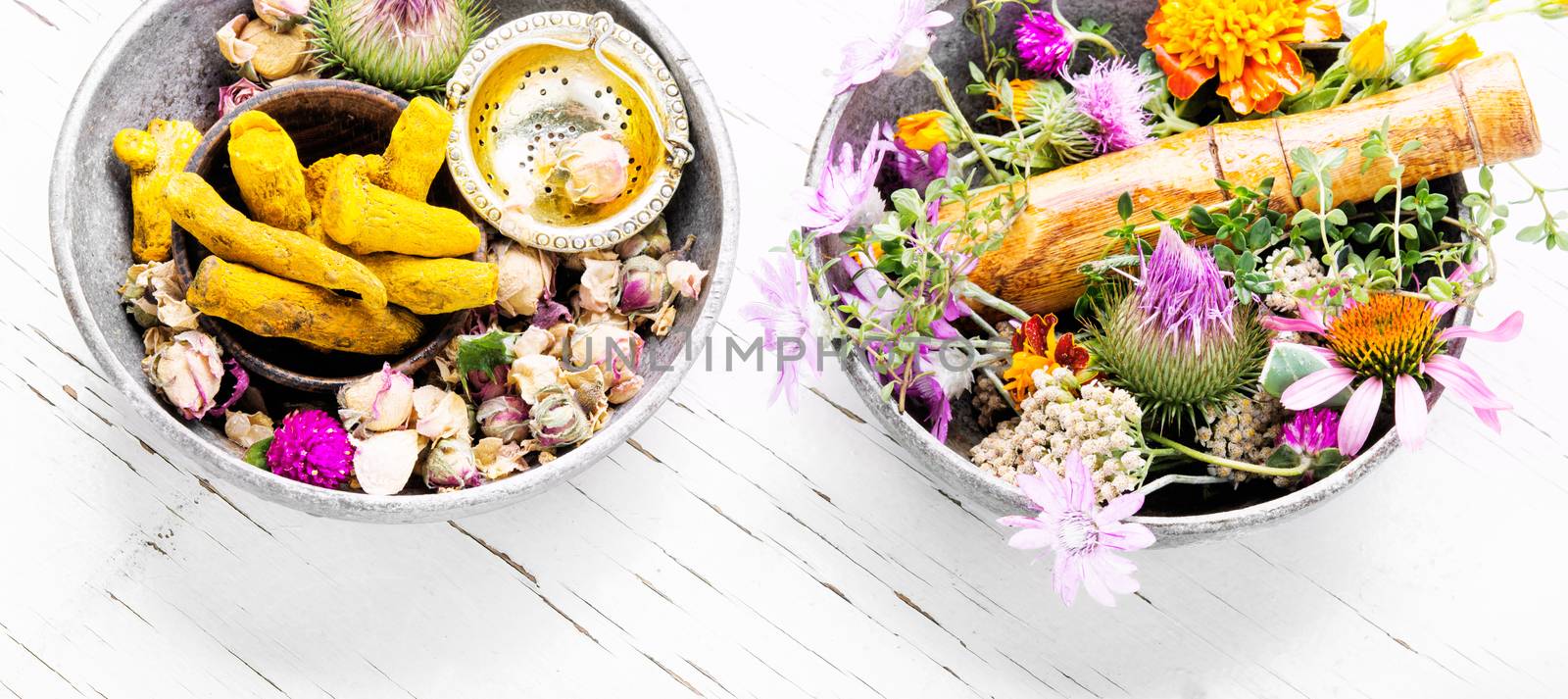 Various raw medical herbs and flowers.Alternative medicine concept.Herbal medicine