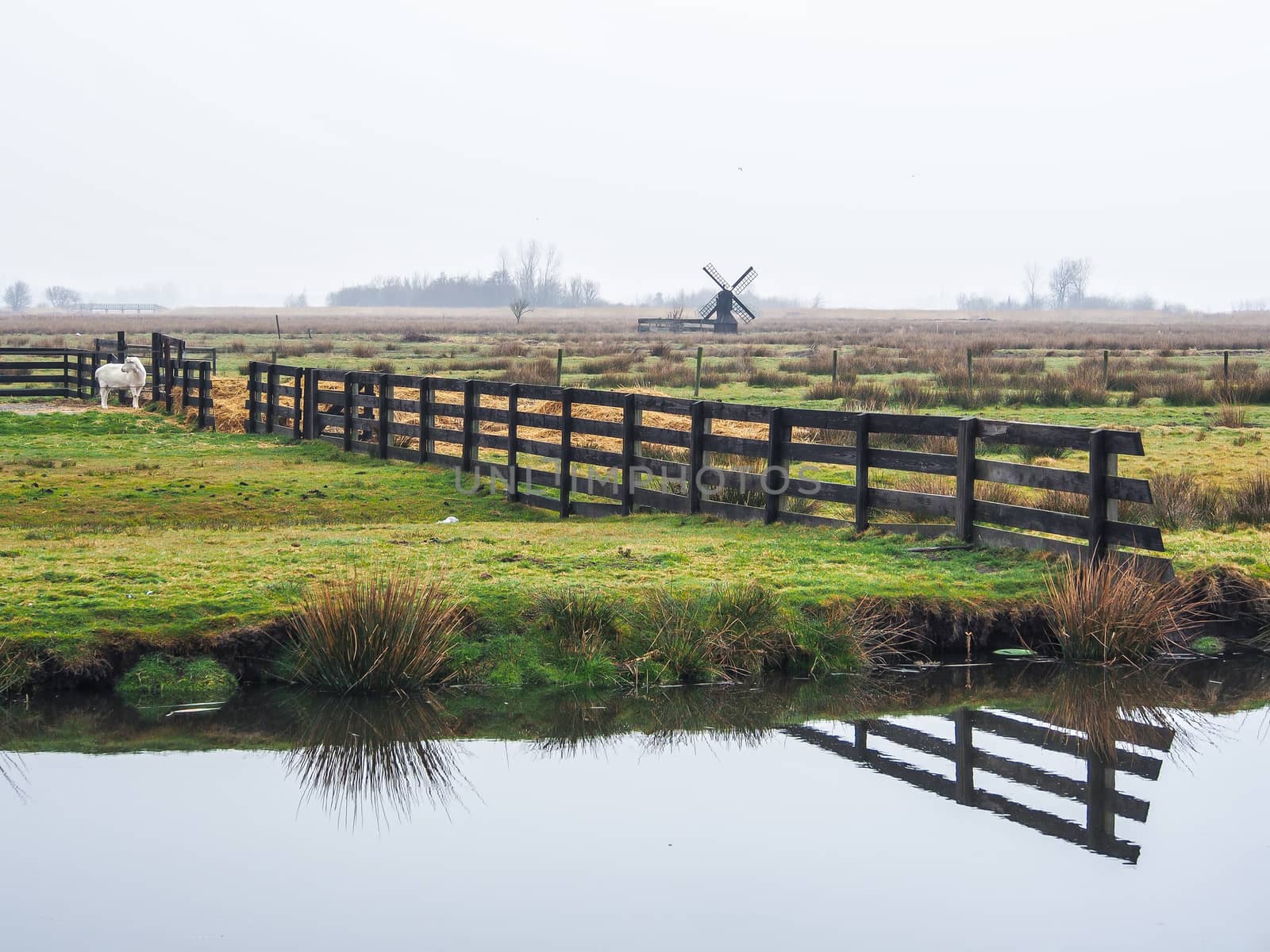 Historic windmills at Zaanse Schans ,neighborhood in the Dutch town of Zaandam, near Amsterdam,  The Netherlands.