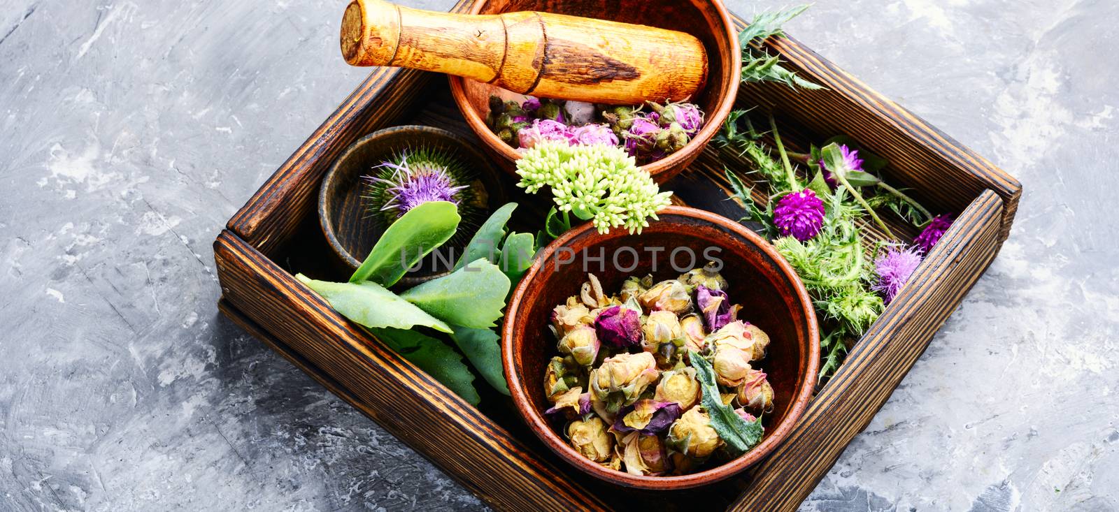 Various raw medical herbs and flowers.Alternative medicine concept