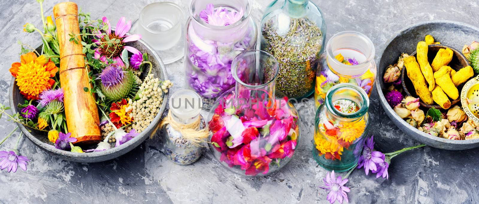 Various raw medical herbs and flowers.Alternative medicine concept