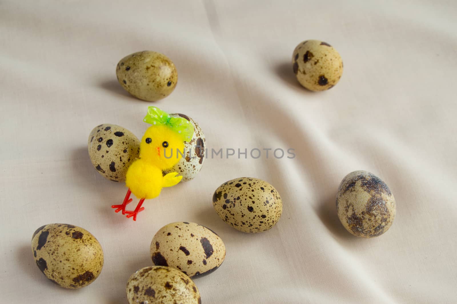 Quail eggs and a chicken toy, preparing for Easter.
