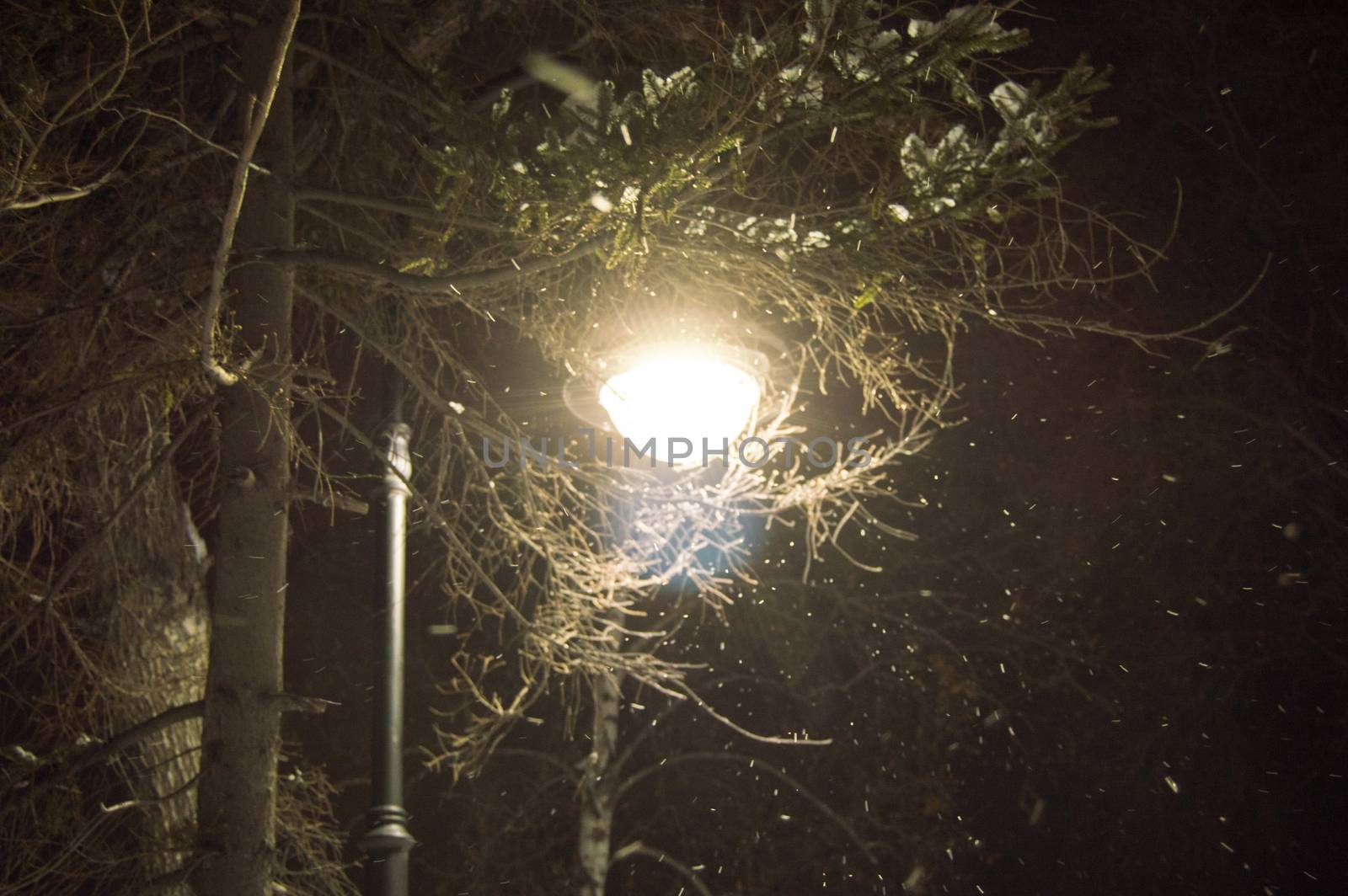 A lighted lantern at night, the snow and trees in winter Park