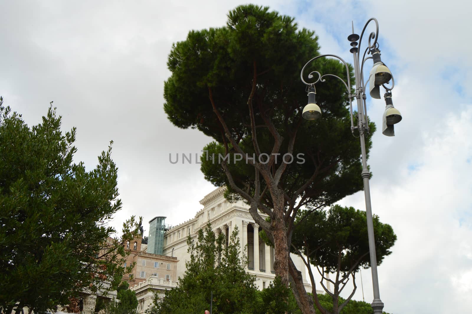 Rome, Lazio region, Italy, Detail of the national monument of Vittorio Emanuele II, named Vittoriano or Altare della Patria. View from sea pines, October 7, 2018.