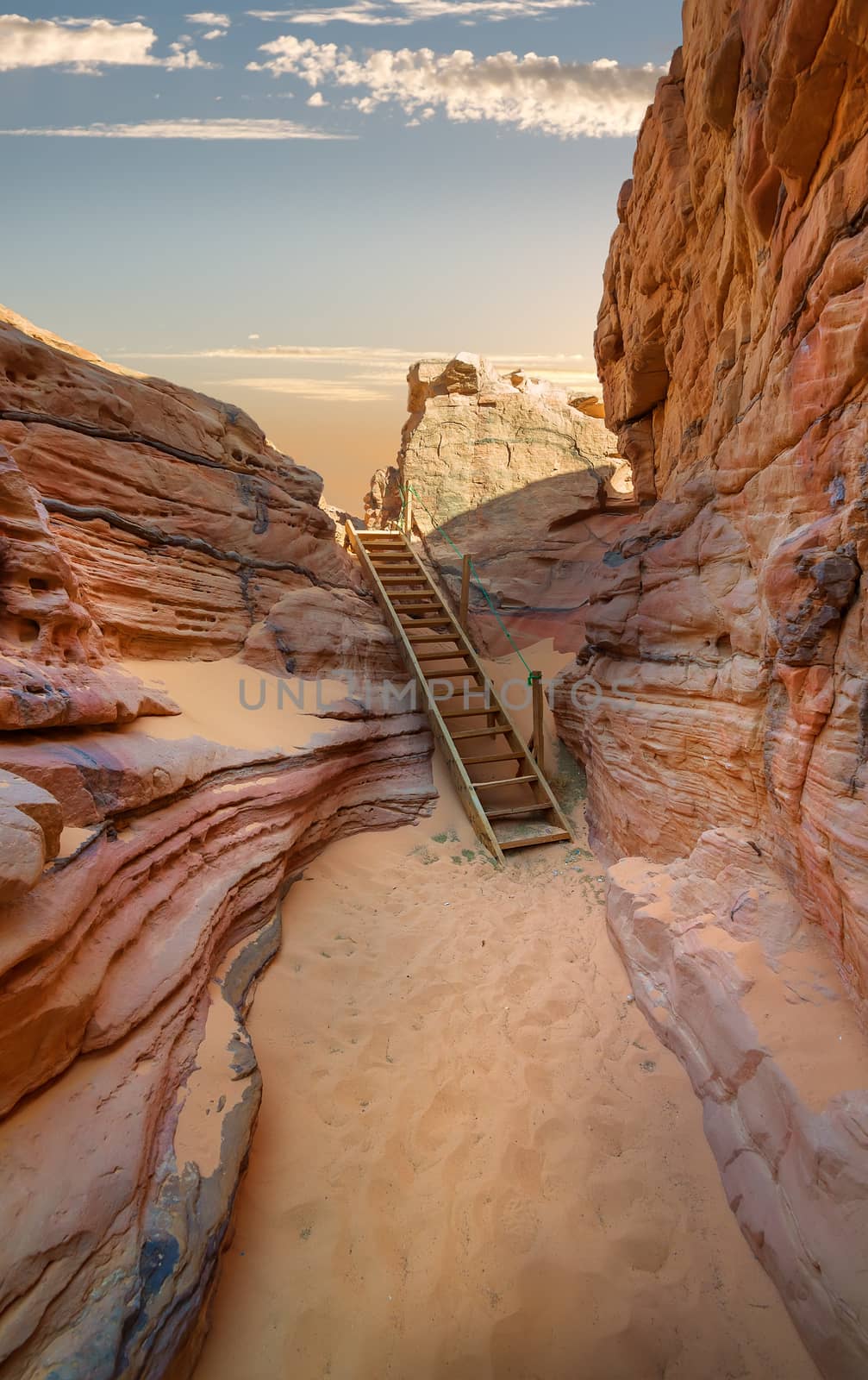 Sandy canyon in desert of Sinai