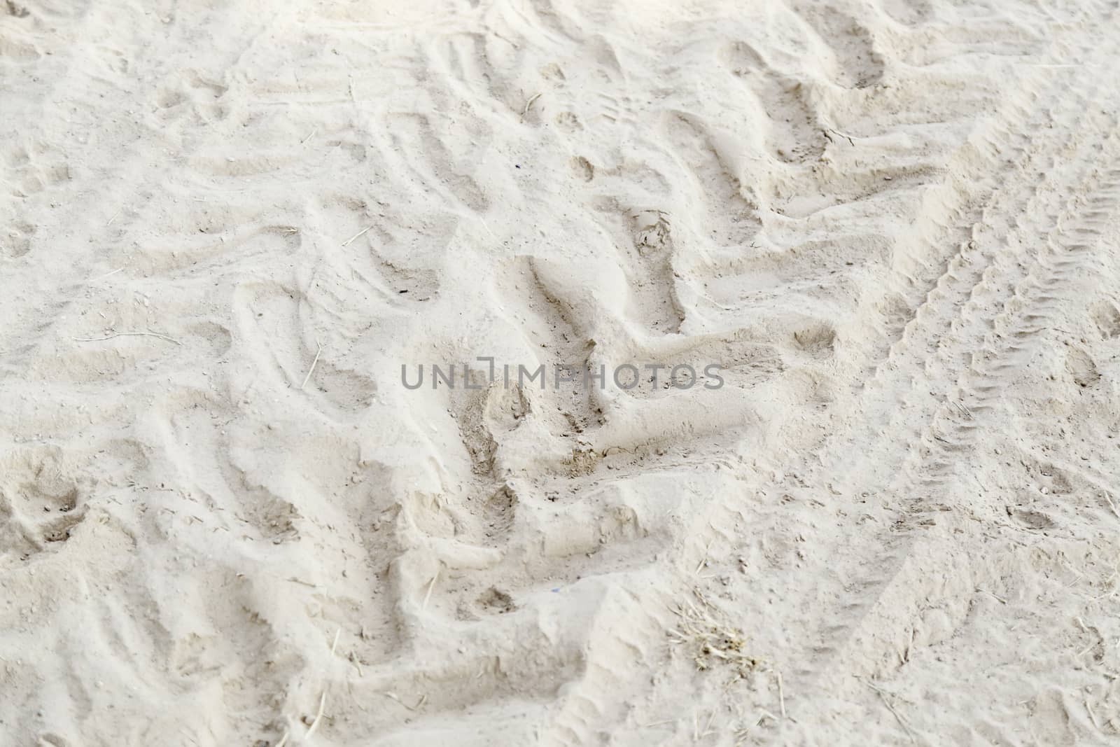 Footprint in the sand by esebene