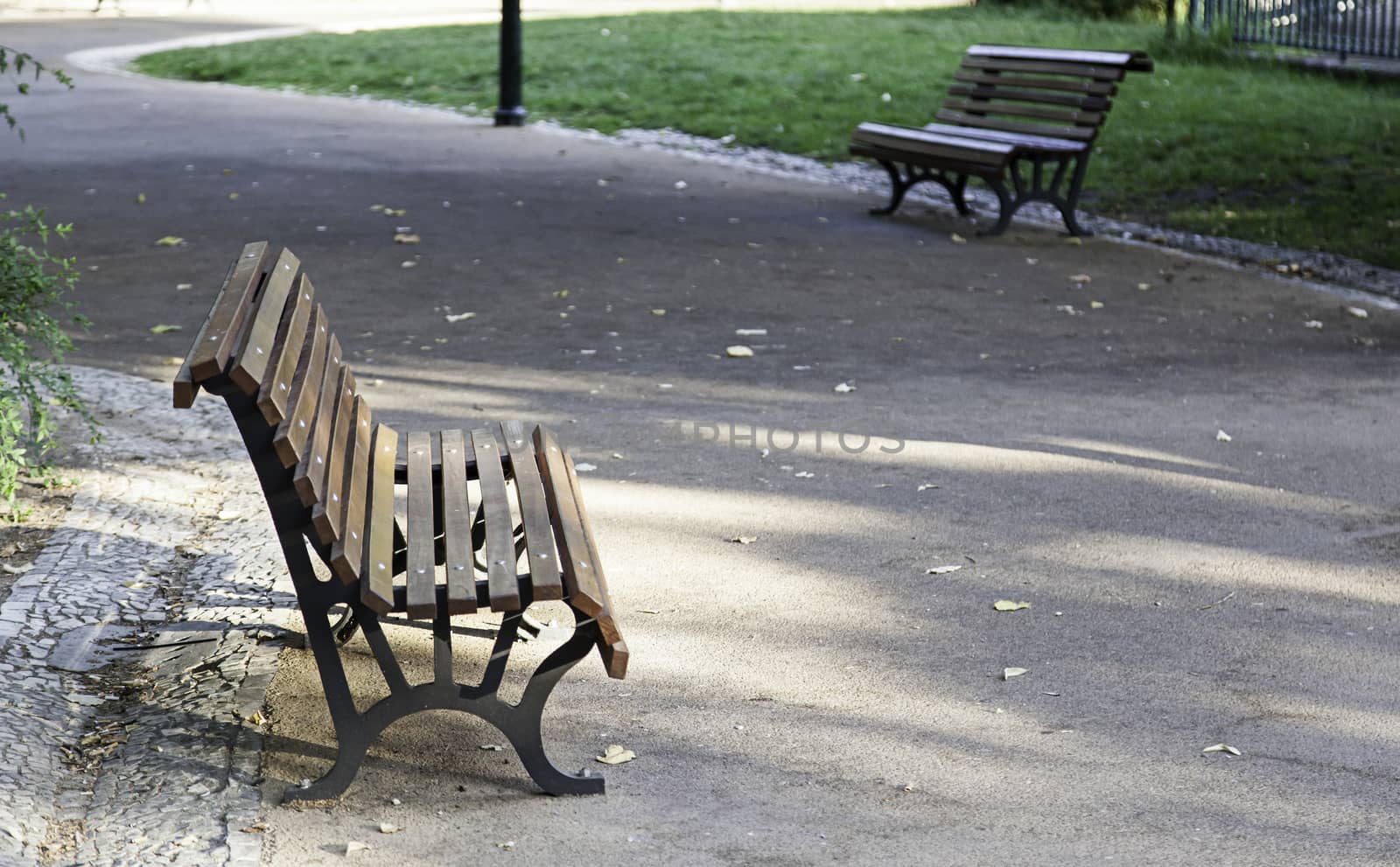 Wooden benches in a park by esebene