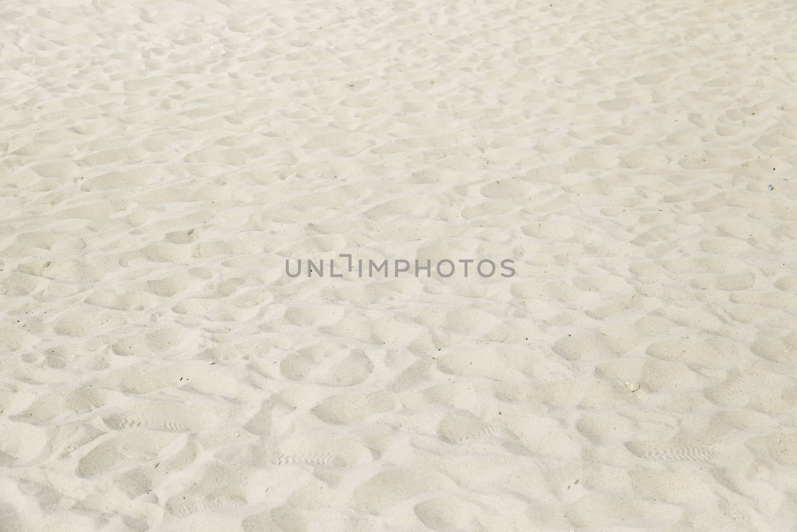 Sand beach detail dune on a beach, summer tourism