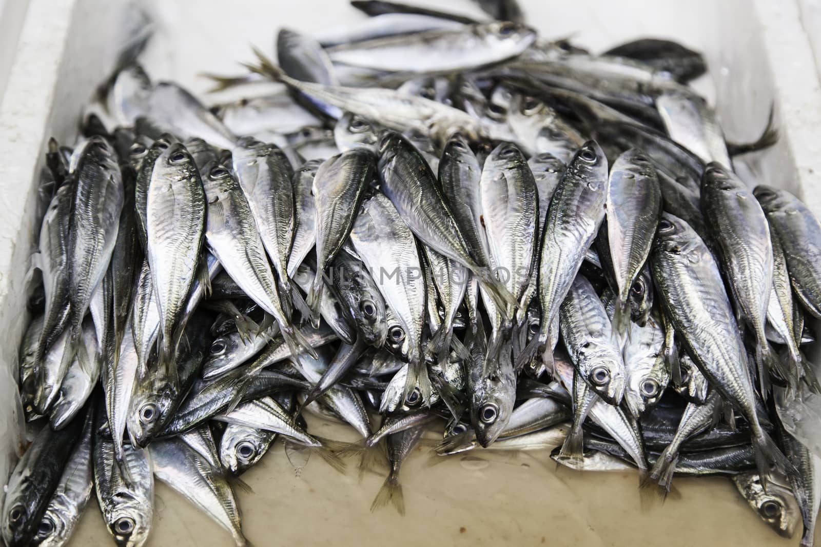 Fresh fish in a market, detail of an old market, healthy food